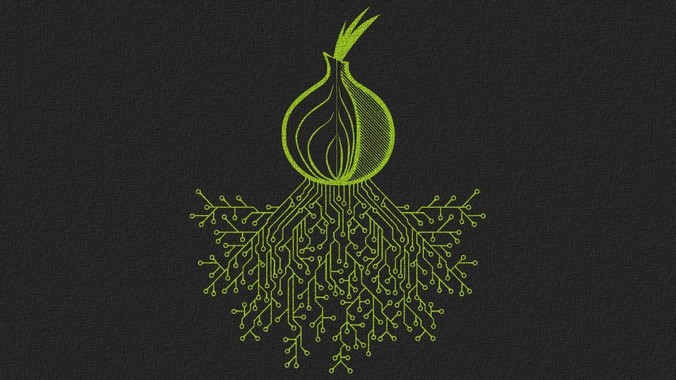  马斯克最新访谈，信息量爆炸！_芯片_中国_电力